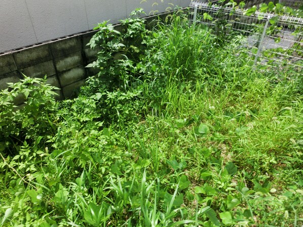 サニーパークの物件内観写真